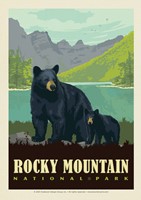 RMNP Black Bear Family Lake Postcard