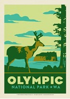 Olympic NP Emblem Postcard
