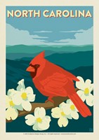 North Carolina Cardinal Postcard