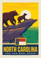 NC State Pride Postcard