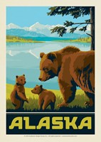 Wildlife Bears AK Postcard