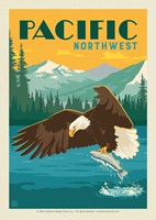 Pacific NW Eagle & Salmon Postcard