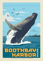 ME Boothbay Harbor Whale Breaching Postcard