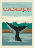 ME Whale Tail Camden Postcard