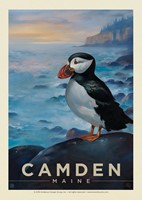 ME Camden Puffin Postcard