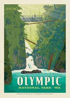 Olympic NP Sol Duc Falls Postcard