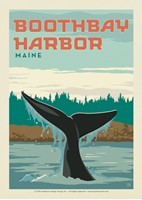 ME Boothbay Harbor Whale Tail Postcard