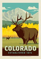 Elk CO Postcard