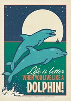 FL Live Like a Dolphin Postcard
