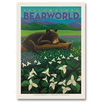 Yellowstone Bear World Wildflower