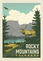 Rocky Mountains CO Elk Postcard