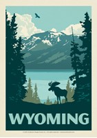 WY Moose Postcard