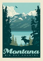 MT Big Sky Country Moose View Postcard