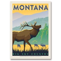MT Elk Big Sky Country Postcard