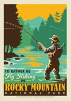 Rocky Mountain Fly Fishing Postcard