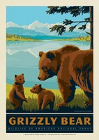 National Parks Wildlife Grizzly Bear Postcard