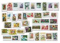 Deluxe Garden Visitors 40 Card Assortment