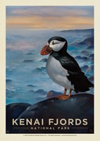 Kenai Fjords FNP Puffin Postcard