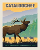 Great Smoky Mountains National Park Cataloochee Elk 8" x 10" Print
