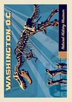 Washington DC: Museum of Natural History Postcard