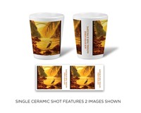 New River Gorge NP & Preserve Daybreak Ceramic Shot