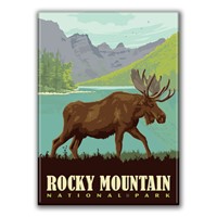 Rocky Mountain NP Moose Magnet