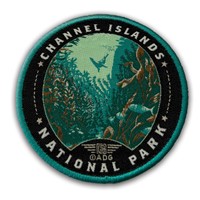 Channel Islands NP Sea Lion Patch