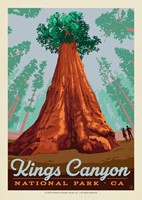 Kings Canyon NP General Grant Postcard