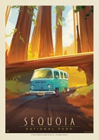 Sequoia NP Through the Trees Postcard
